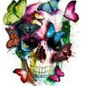 quelra's profile picture