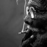 David Luis profil fotoğrafı
