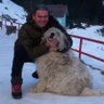 Kmal.russ@gmail.com profil fotoğrafı