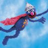 Sup Grover profil fotoğrafı
