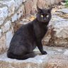 Φίλιππος Μπορβόνης profil fotoğrafı