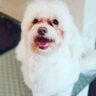 Profilbild von david