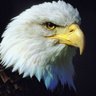 Waly-Mvd.'s profile picture