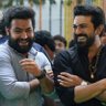 LemonTree profil fotoğrafı