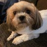 JayP's profile picture