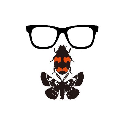 蛾もLOVE(阪本優介)'s profile picture