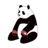 パンダ君 的头像