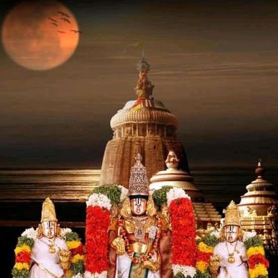 Tirumala Tirupathi Updates's profile picture