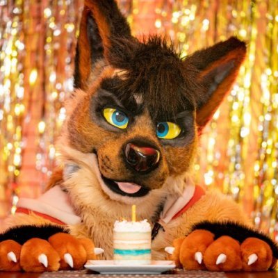 Jackals_in_PJs's profile picture