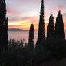 Alessandro Giustiniani's profile picture