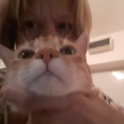 Natalija Sibinić's profile picture