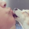 Profilbild von 🇺🇸🇸🇻Andrea..G🐶🐱