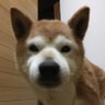 Фото профиля なーやん