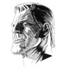 Stephen Rockwood's profile picture