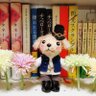 ☆Kana72☆'s profile picture