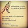 Фото профиля Sumeyye