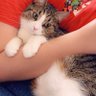 Hana Alshmarie profil fotoğrafı
