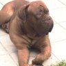 Luciano Javier Ciliberto 的头像