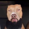 Illuminaughty's profile picture