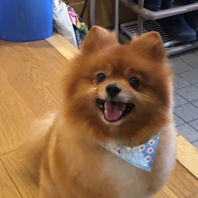 tantancam's profile picture