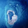Kong the Monke 🦧's profile picture