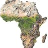 Placide Pmwamba's profile picture