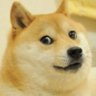 Profilbild von Dogesh Janta Party
