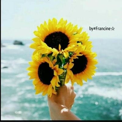 ativao sul's profile picture