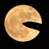 Financial Expert - To The Moon's profile picture
