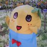 あやこ 的头像