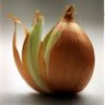 Фото профиля Jake Spatt