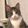 Profilbild von winneck