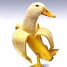 Фото профиля quack-nana