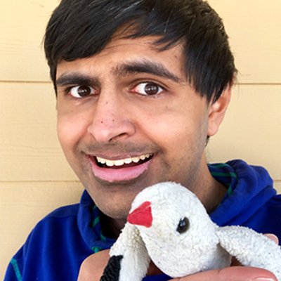 Iron_Cgull's profile picture