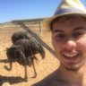 franklin amaro's profile picture