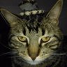 Gamu ⭐⭐⭐ profil fotoğrafı