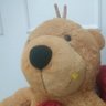 Profilbild von teddymanero