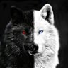 Kikinroks 🧭's profile picture