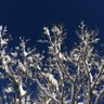 道東より道ろまん East Hokkaido_Travel Japan profil fotoğrafı