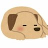 にどね's profile picture