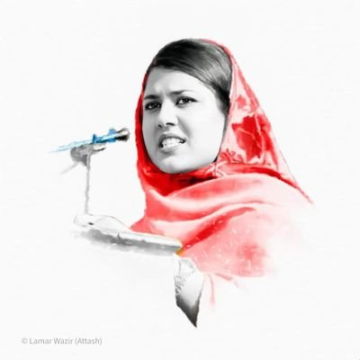 Nargis Afsheen's profile picture