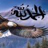 sajjad shah's profile picture