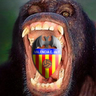 VAYABOCA's profile picture