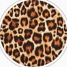 Sonia Bandiera's profile picture