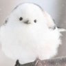 のんちゃん隊長's profile picture