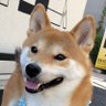 みか's profile picture