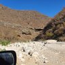 ظفار المجد's profile picture