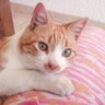 Milagros ๐บ๐๐บ๐๐บ๐๐บ๐'s profile picture