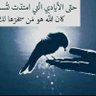 النورس اليماني's profile picture