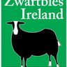 Zwartbles Ireland • Suzanna Crampton 的头像